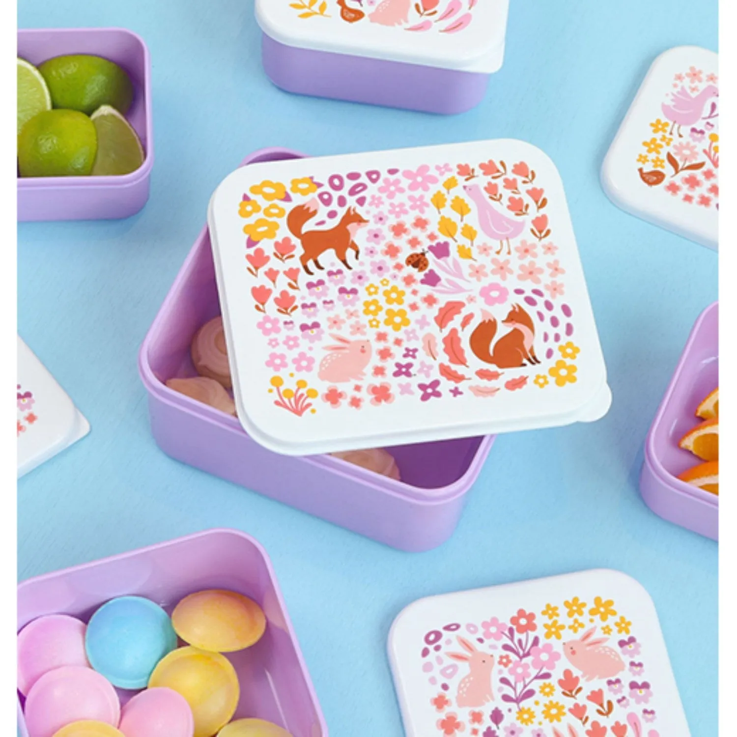 A Little Lovely Company Flower Garden Lunch & Snack Box Set