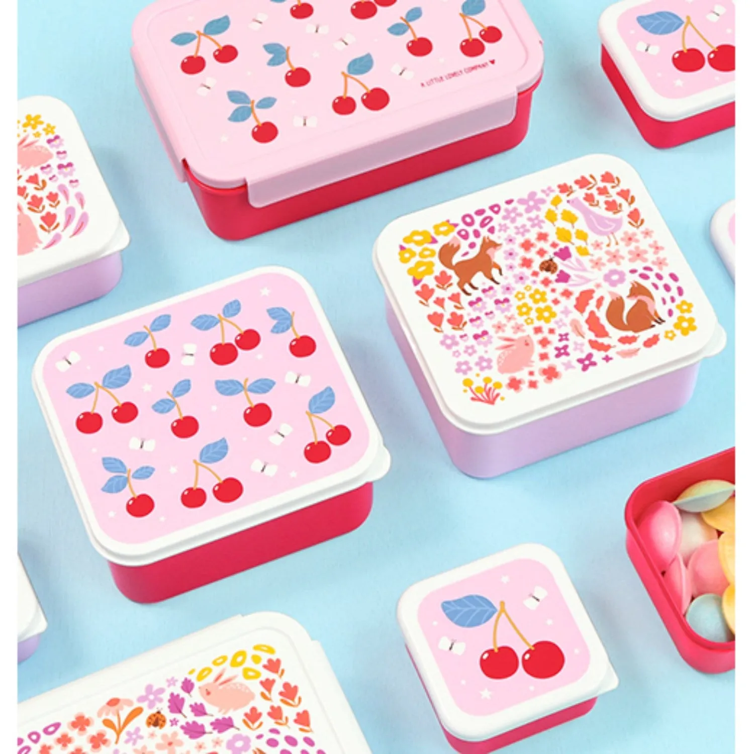A Little Lovely Company Flower Garden Lunch & Snack Box Set