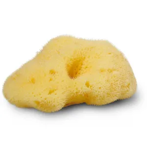 Cocoon Organic Laundry Silk Sponge 7-8 cm