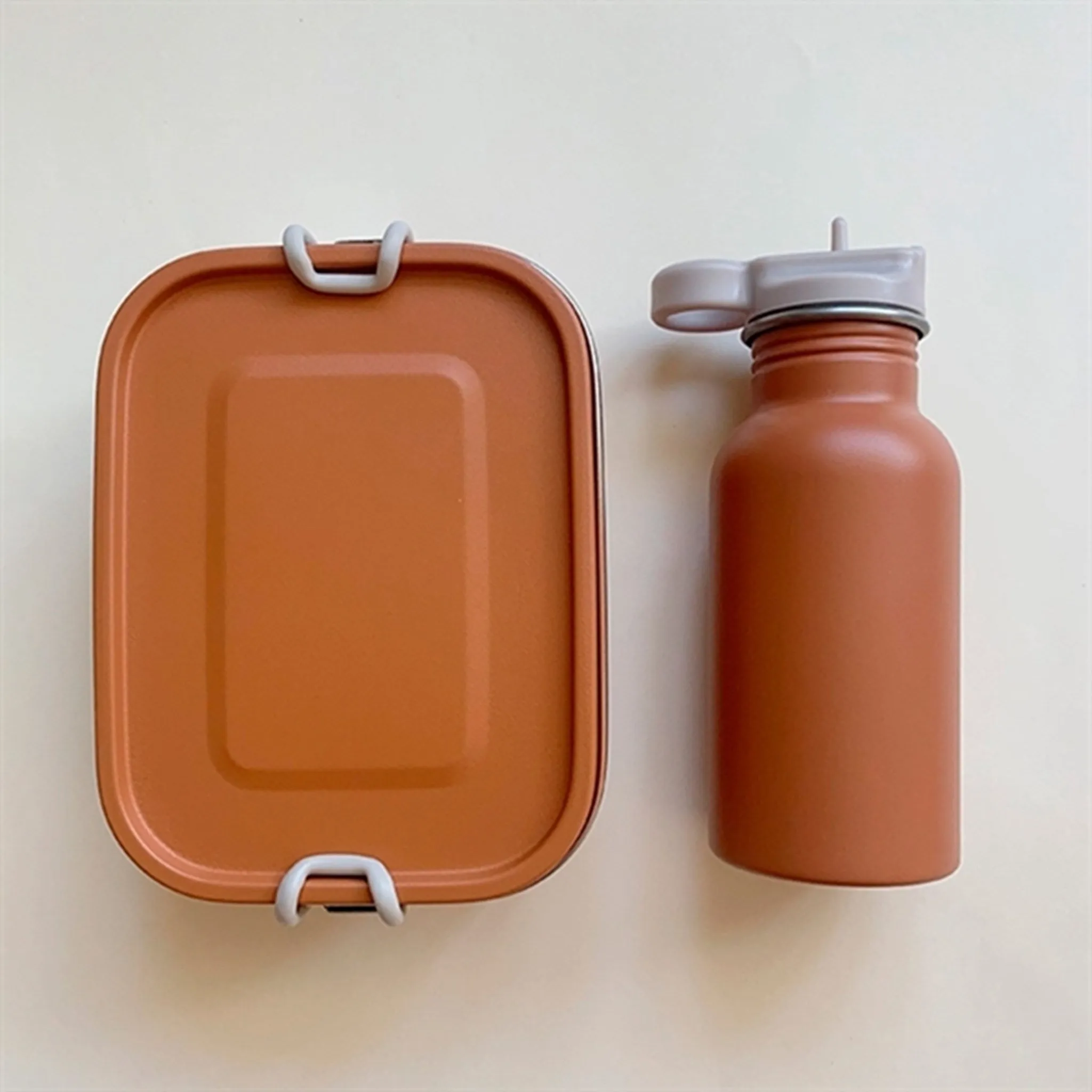 Haps Nordic Lunch Box with Removable Divider Terracotta