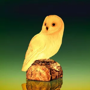 INCREDIBLE OWL LAMP