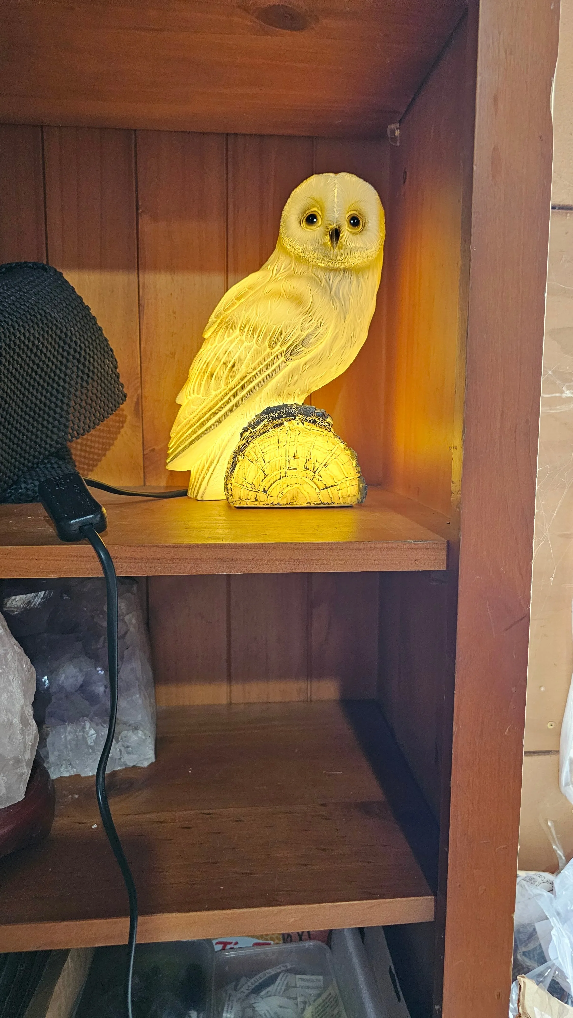 INCREDIBLE OWL LAMP