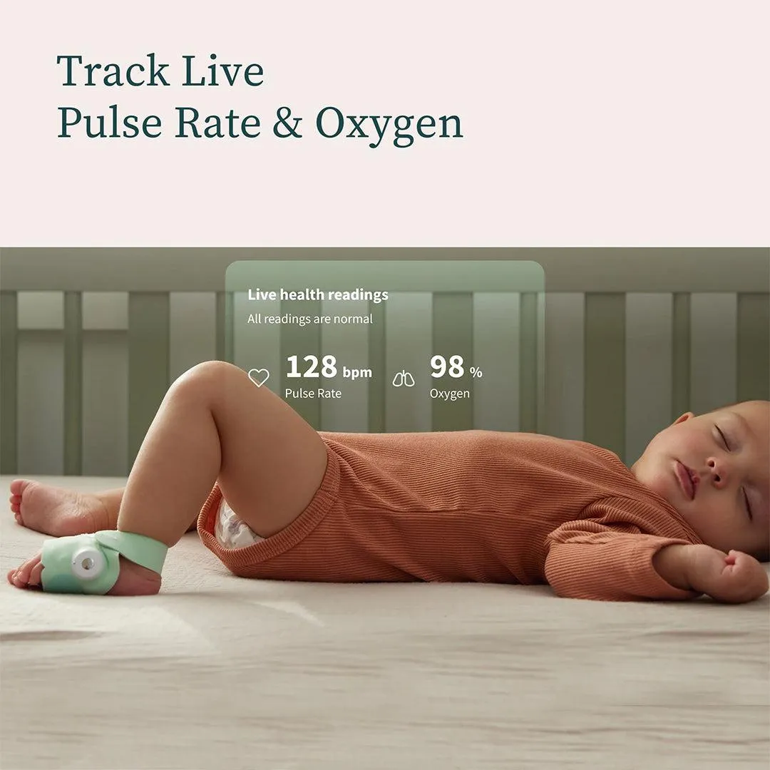 Owlet Dream Duo - White & Bedtime Blue