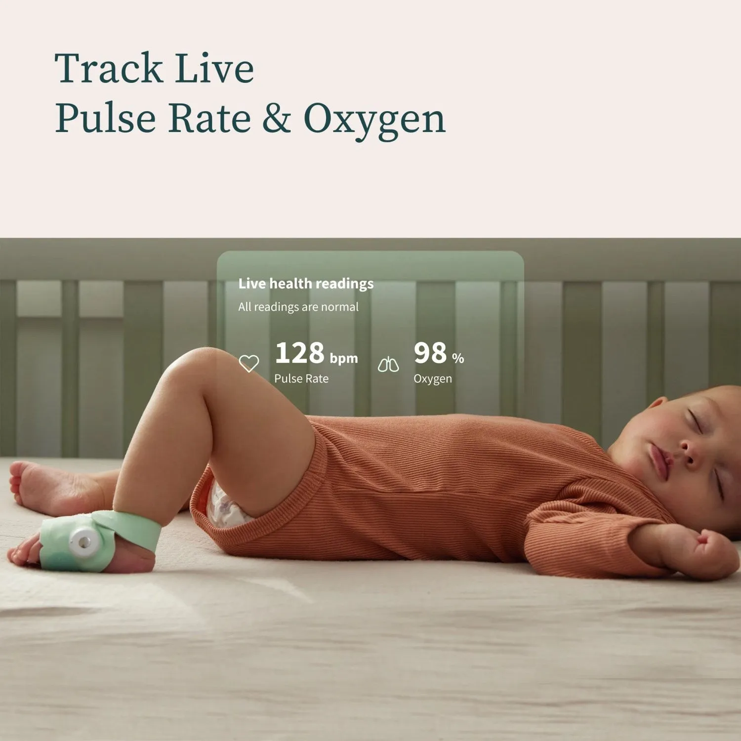 Owlet Mint Dream Sock   Cam2 Bundle