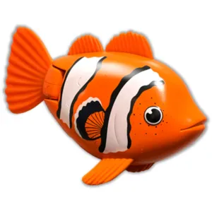 Rainbow Reef Fish Clown Fish