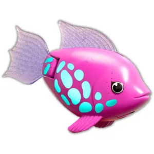 Rainbow Reef Fish Rainbow Fish