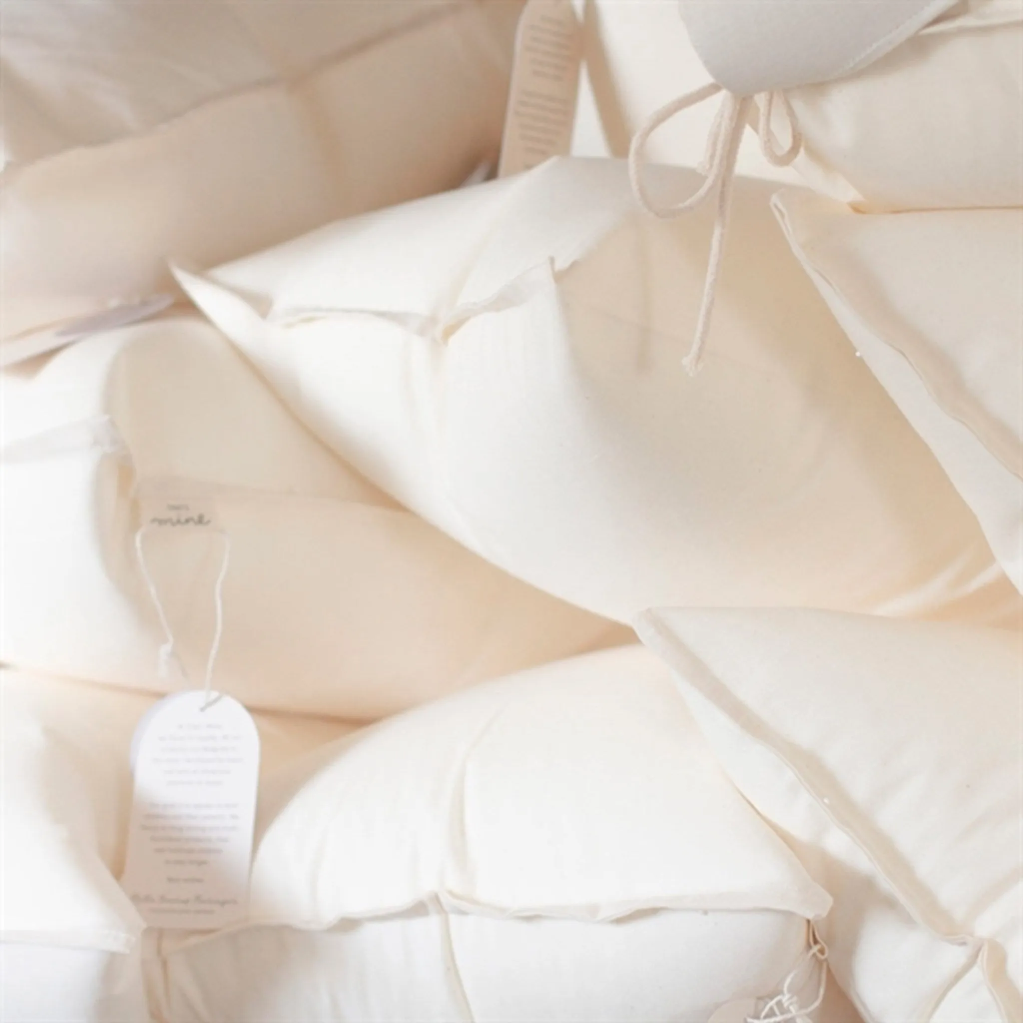 That's Mine EPS Refill Nursing Pillow